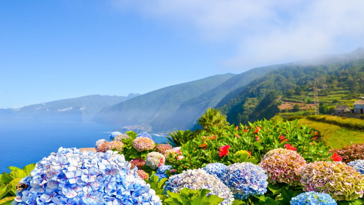 Madeirai hírességek - OTP Travel Utazási Iroda