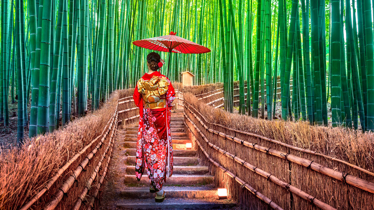 Bambuszerdő 