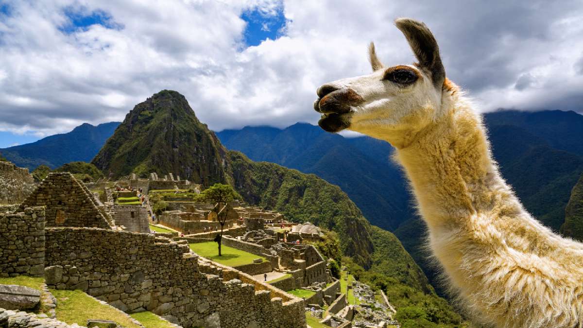 Machu Picchu