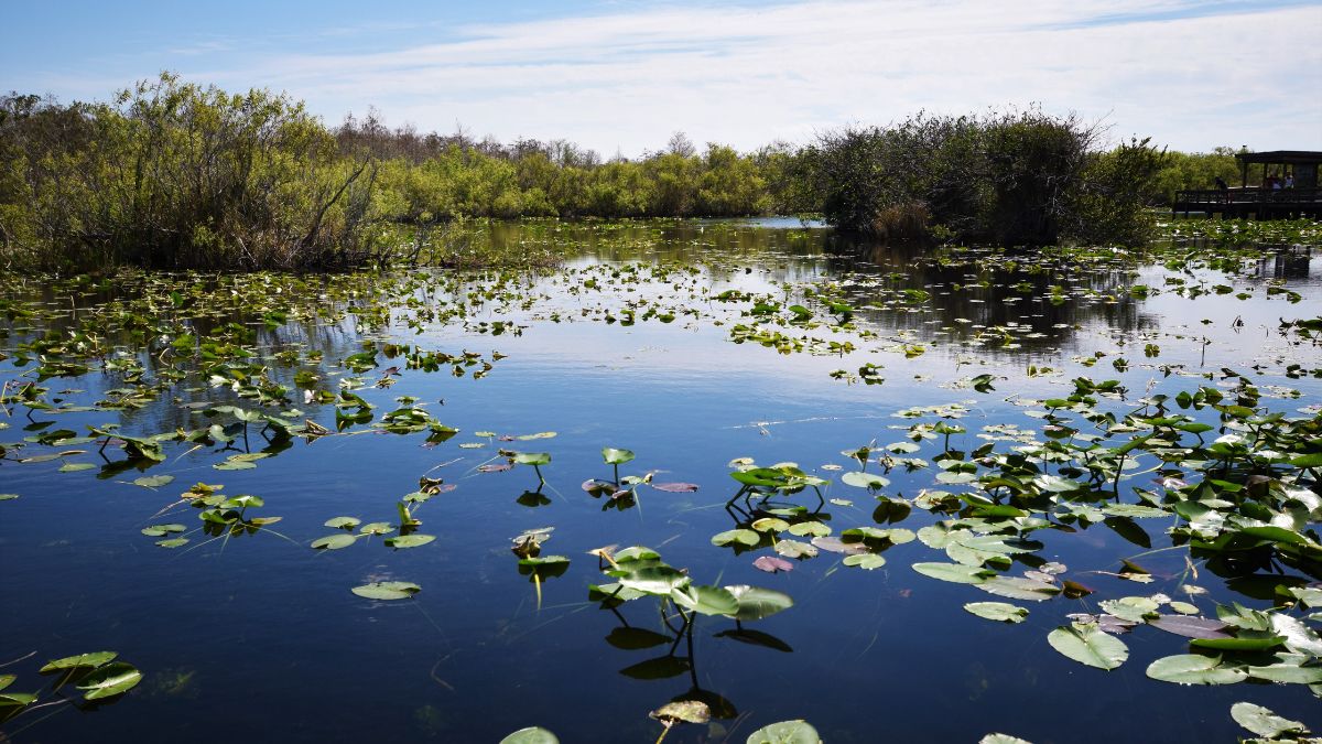 Everglades Nemzeti Park