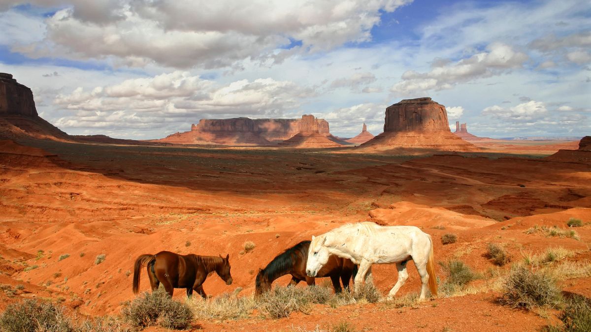 Monument Valley