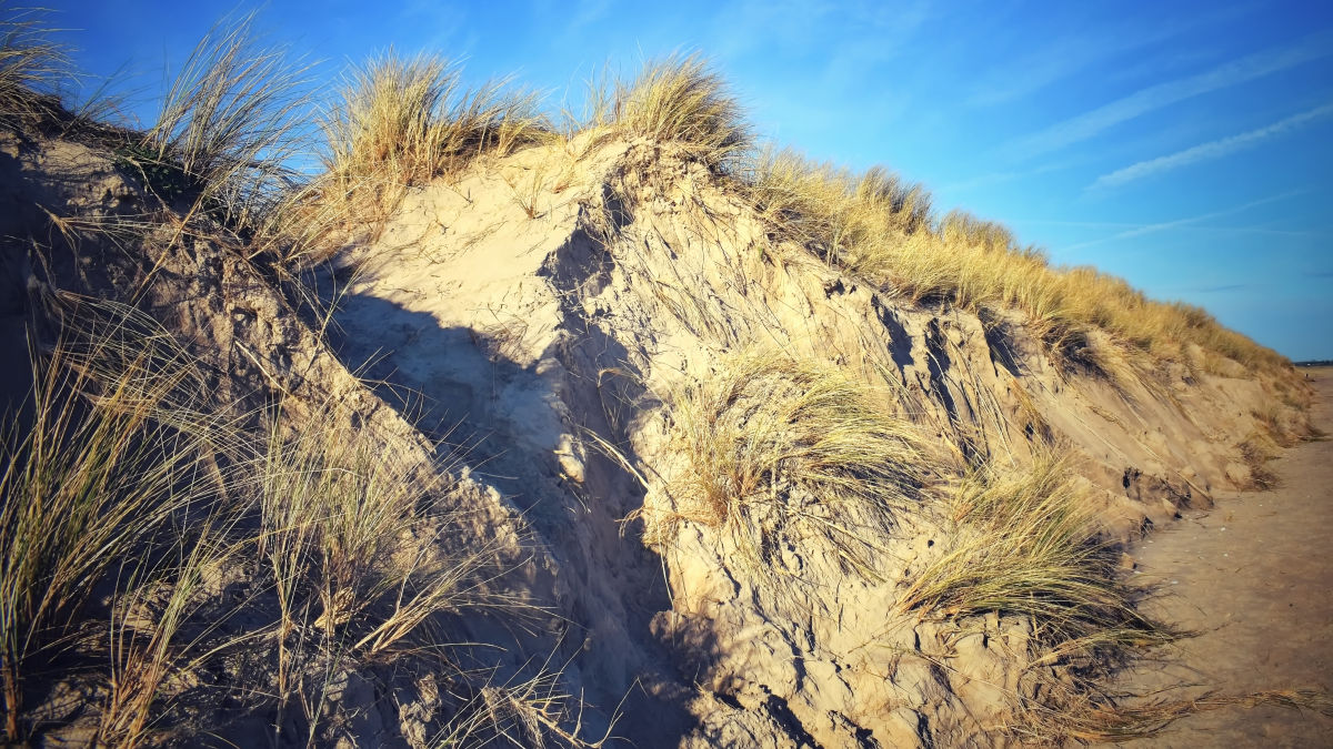 Curracloe Beach