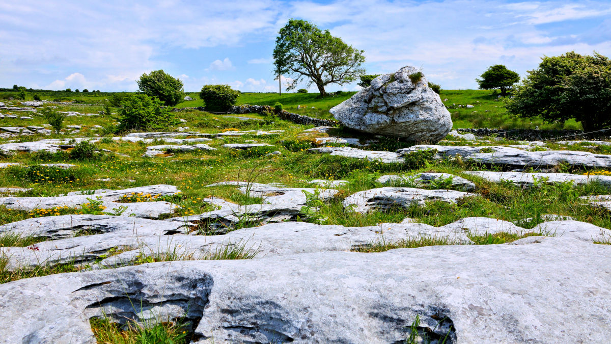 Burren Nemzeti Park