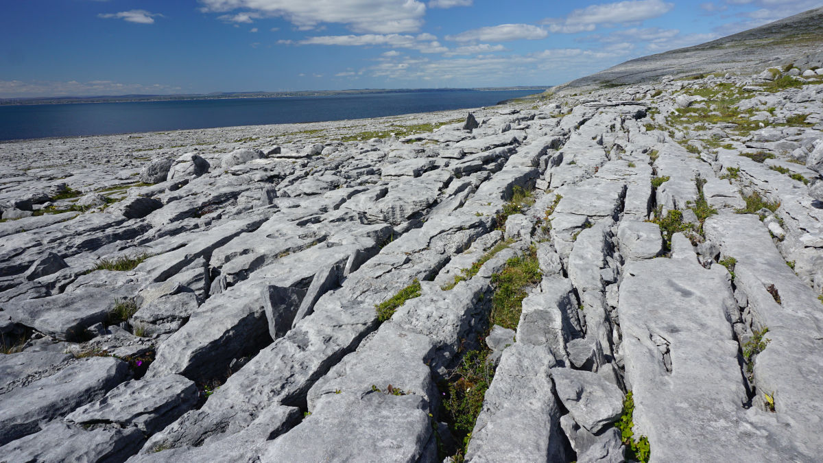 Burren Nemzeti Park