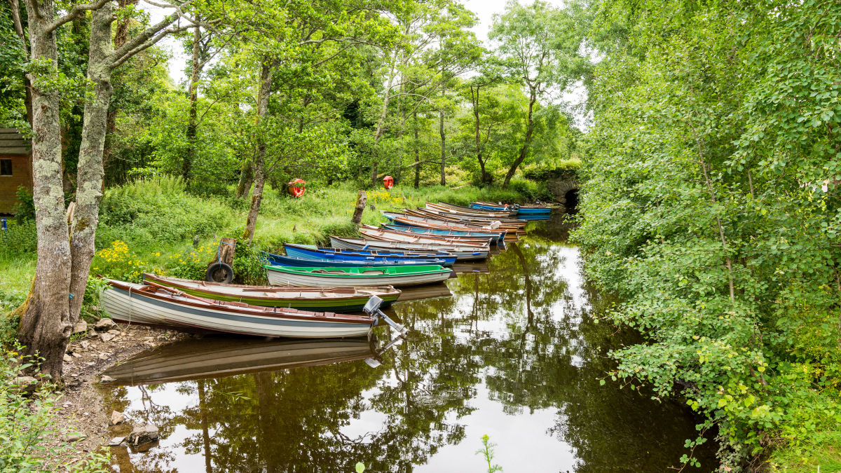 Killarney Nemzeti Park