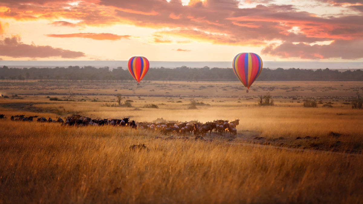 Masai Mara