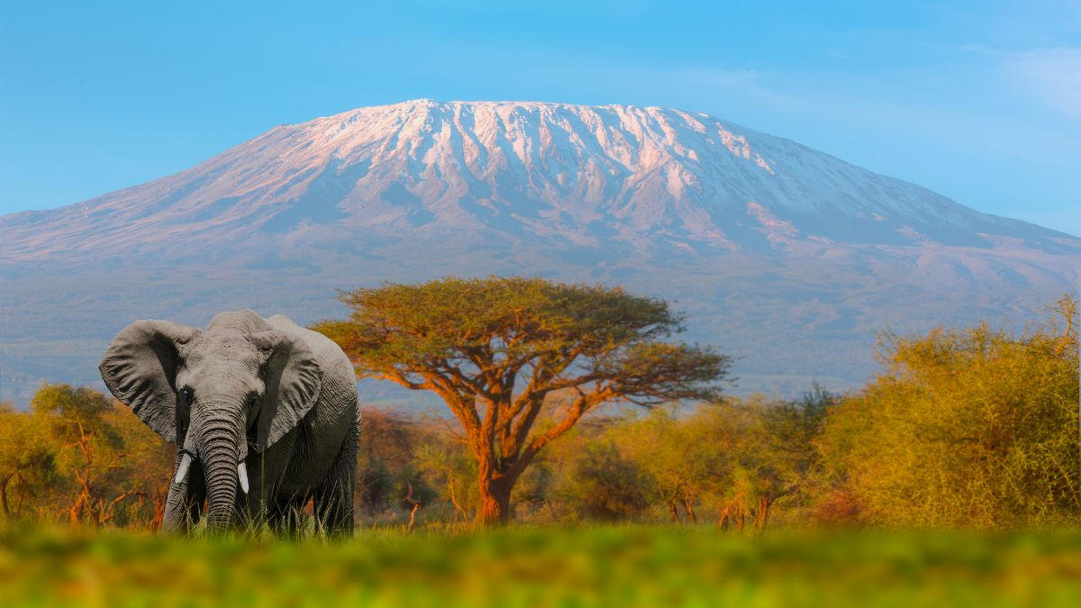 Amboseli Nemzeti Park