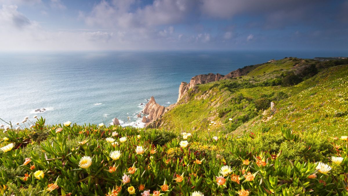 Cabo da Roca