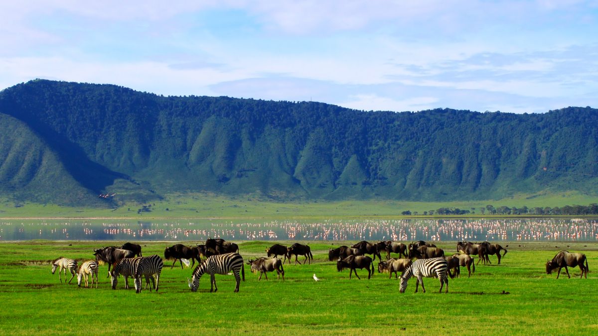 Ngorongoro-kráter