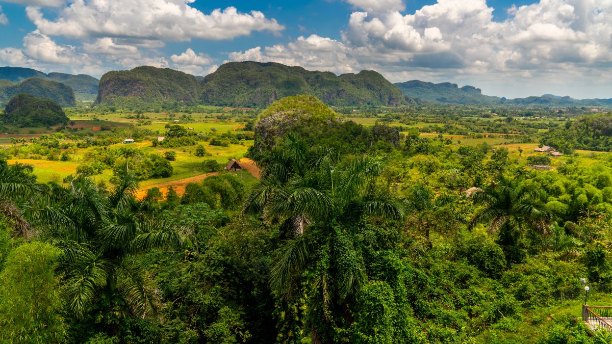 Vinales-völgy