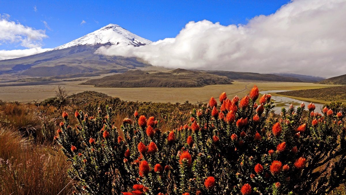 Cotopaxi