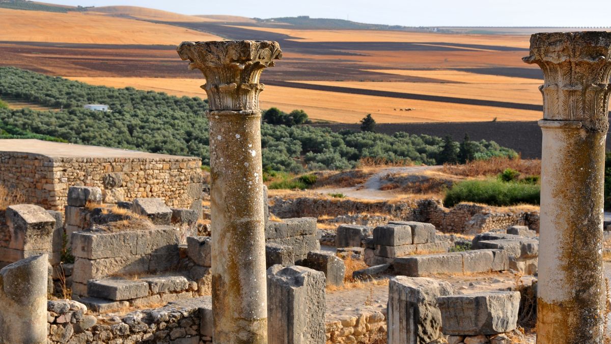 Volubilis 