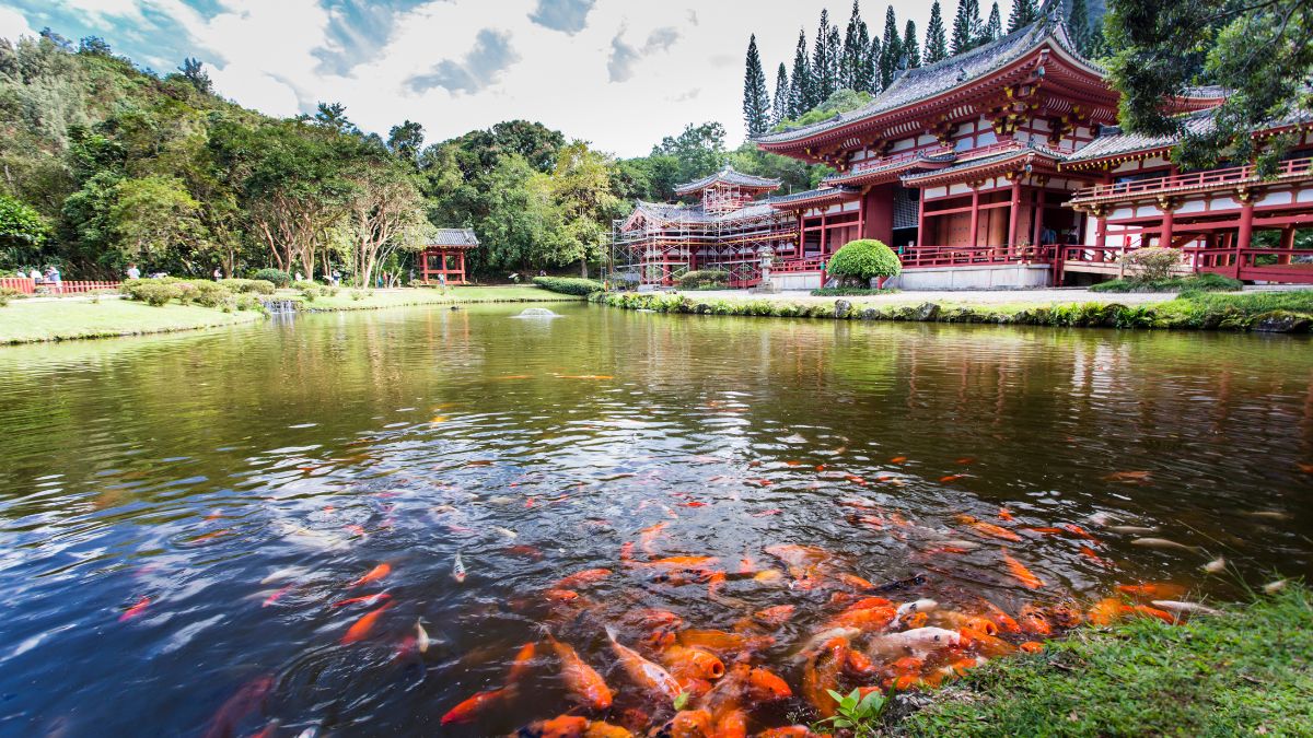 Uji - Byodoin templom