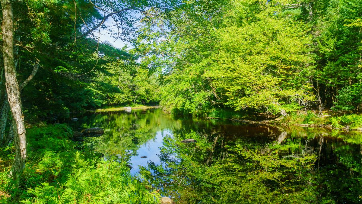 Kejimkujik National Park