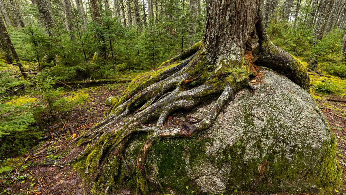 Kejimkujik National Park