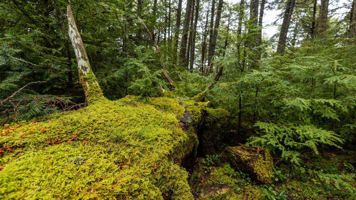 Kejimkujik National Park