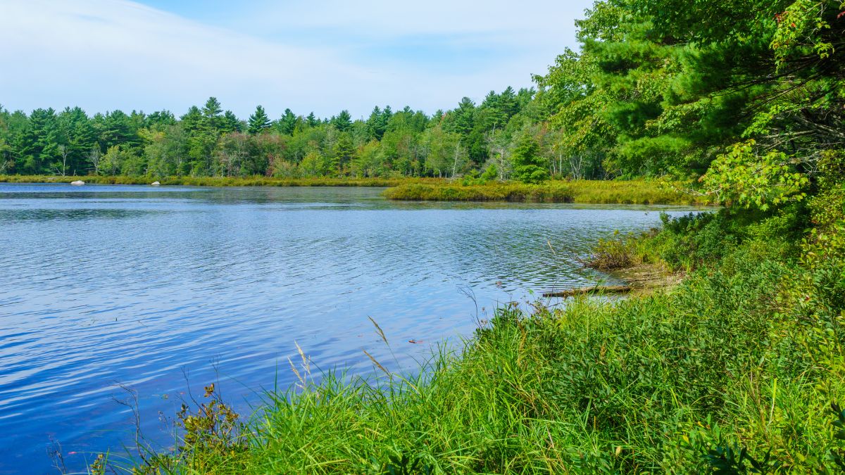 Kejimkujik National Park