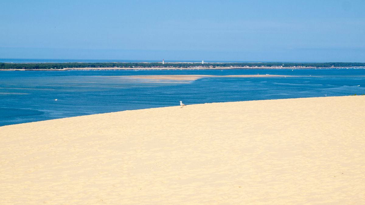 Arcachon - Dune de Pilat