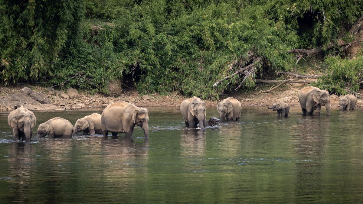 Periyar folyó, Kerala