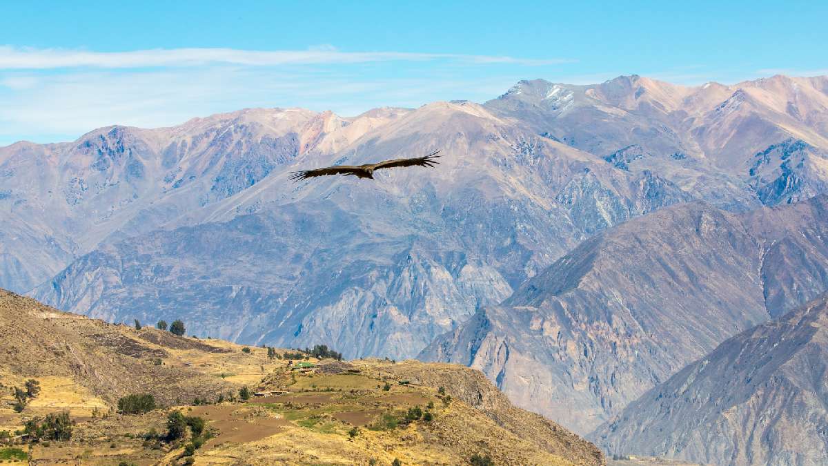 Colca kanyon