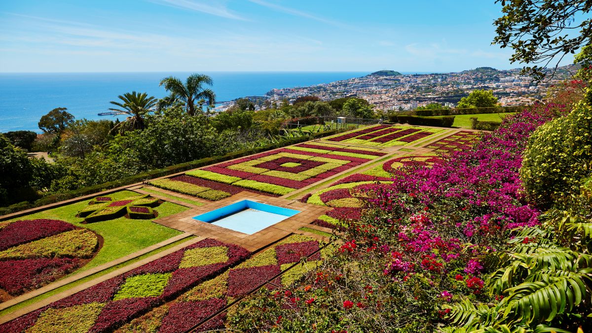 Funchal - botanikus kert