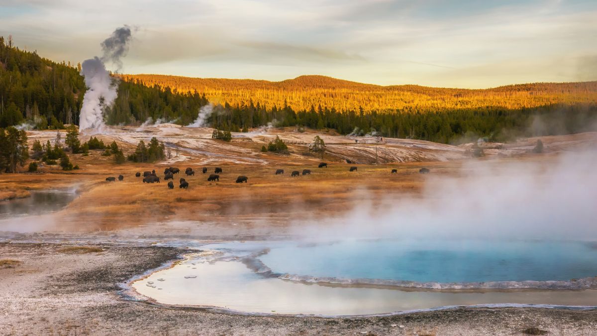 Yellowstone Nemzeti Park