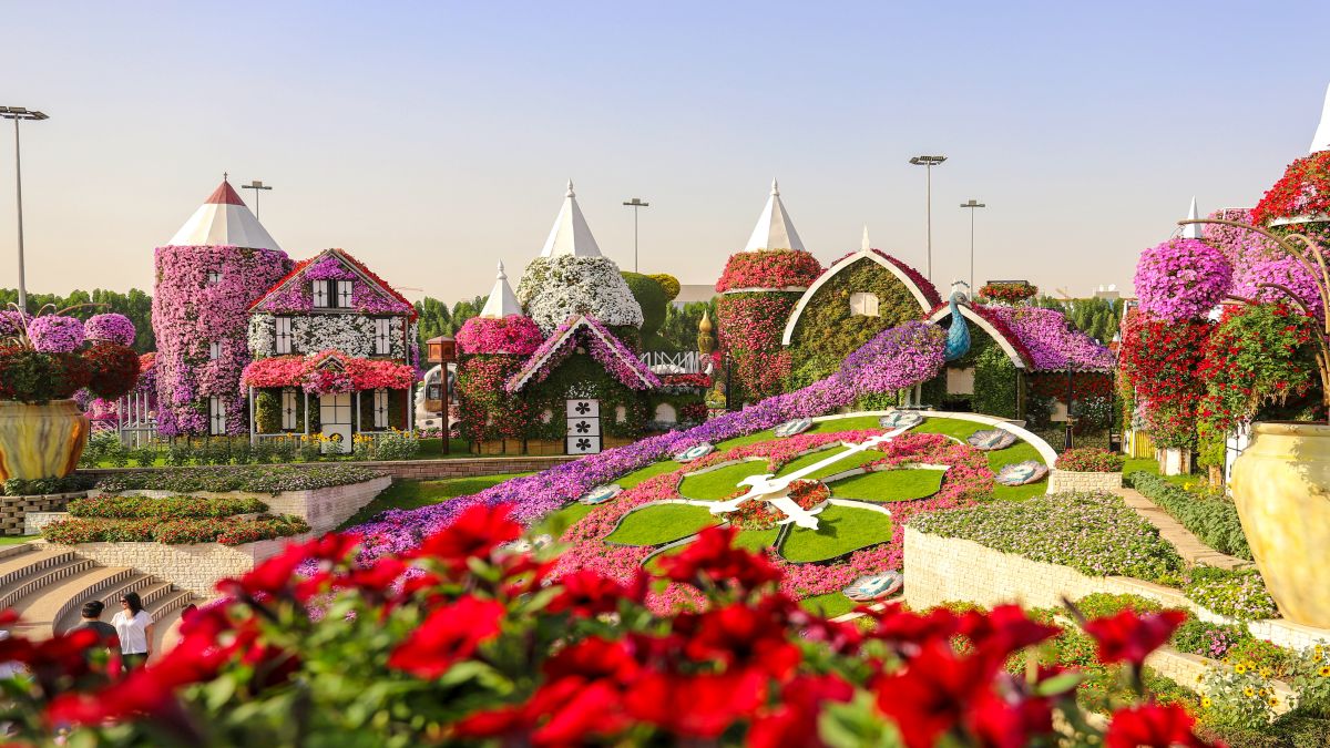 Miracle Garden