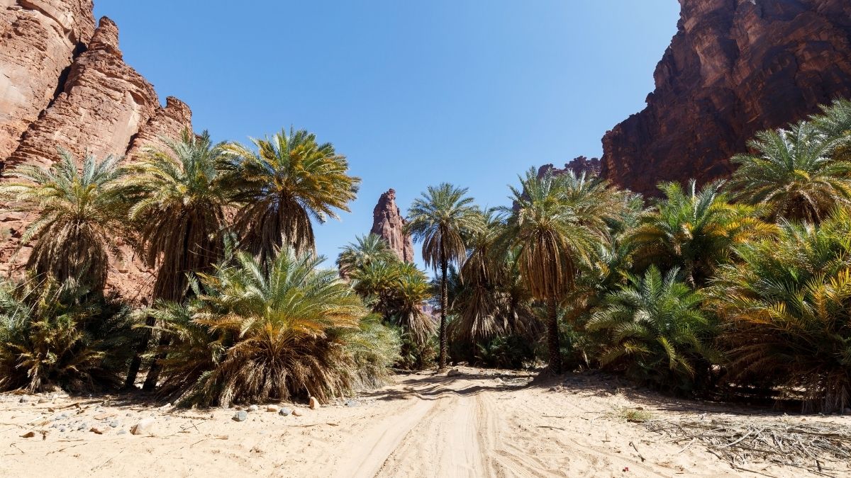 Wadi Qaraqir 