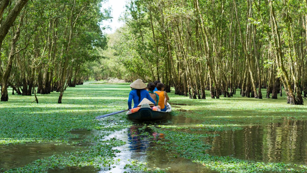 Mekong-delta