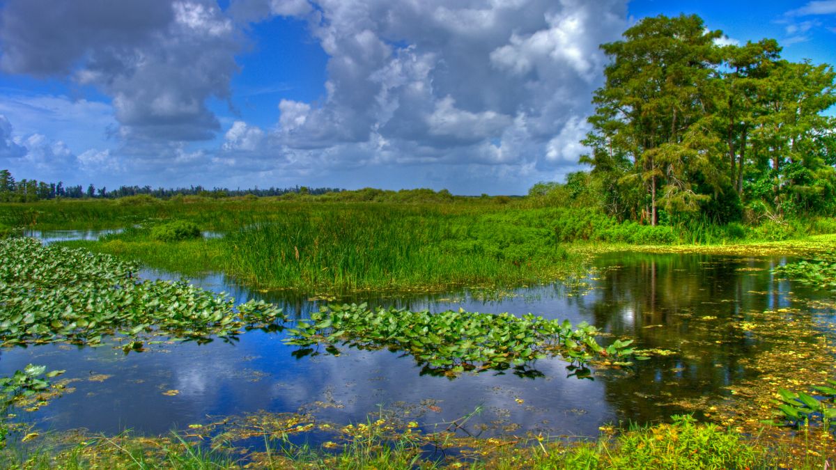 Everglades Nemzeti Park