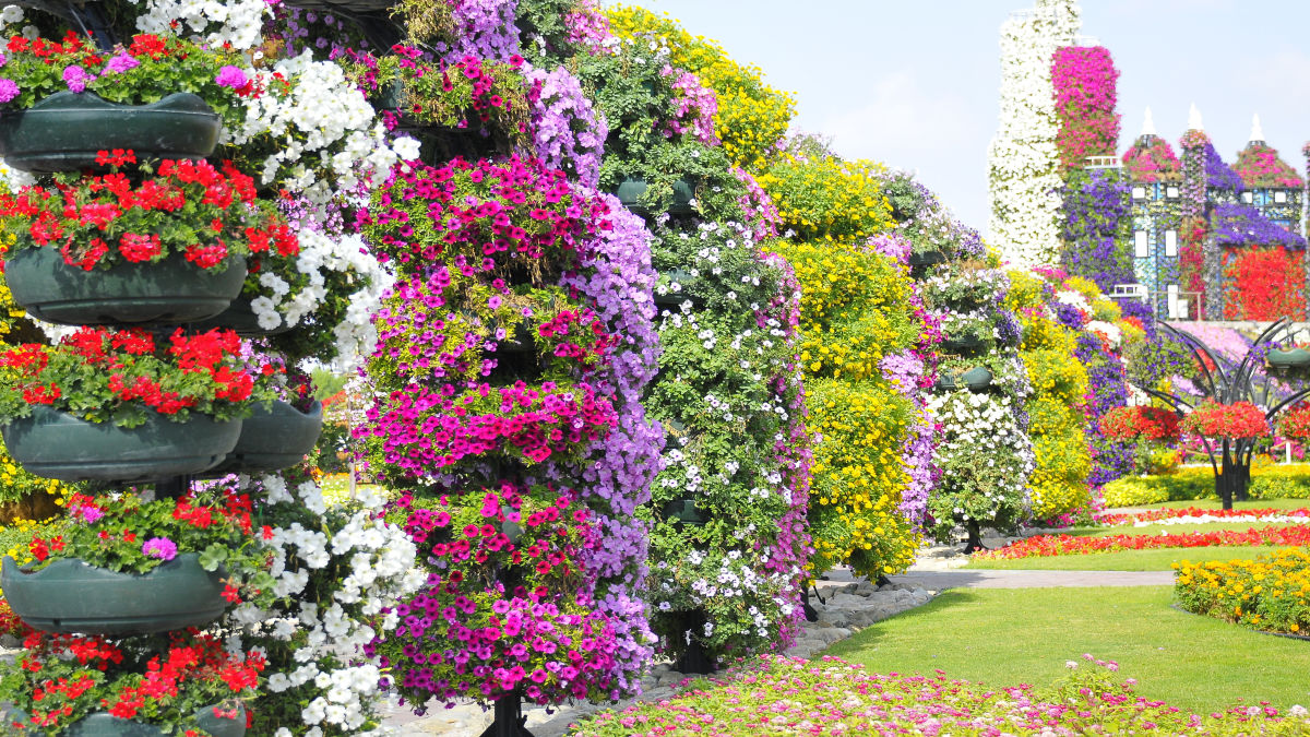 Dubai Miracle Garden