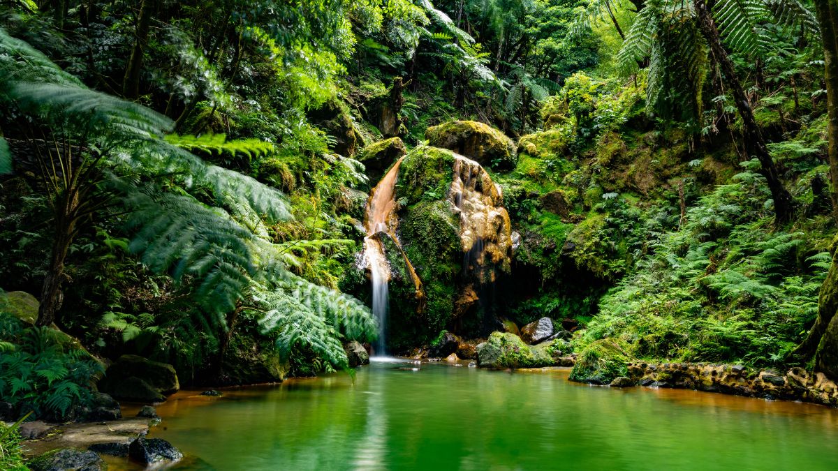 Caldeira Velha Nemzeti Park