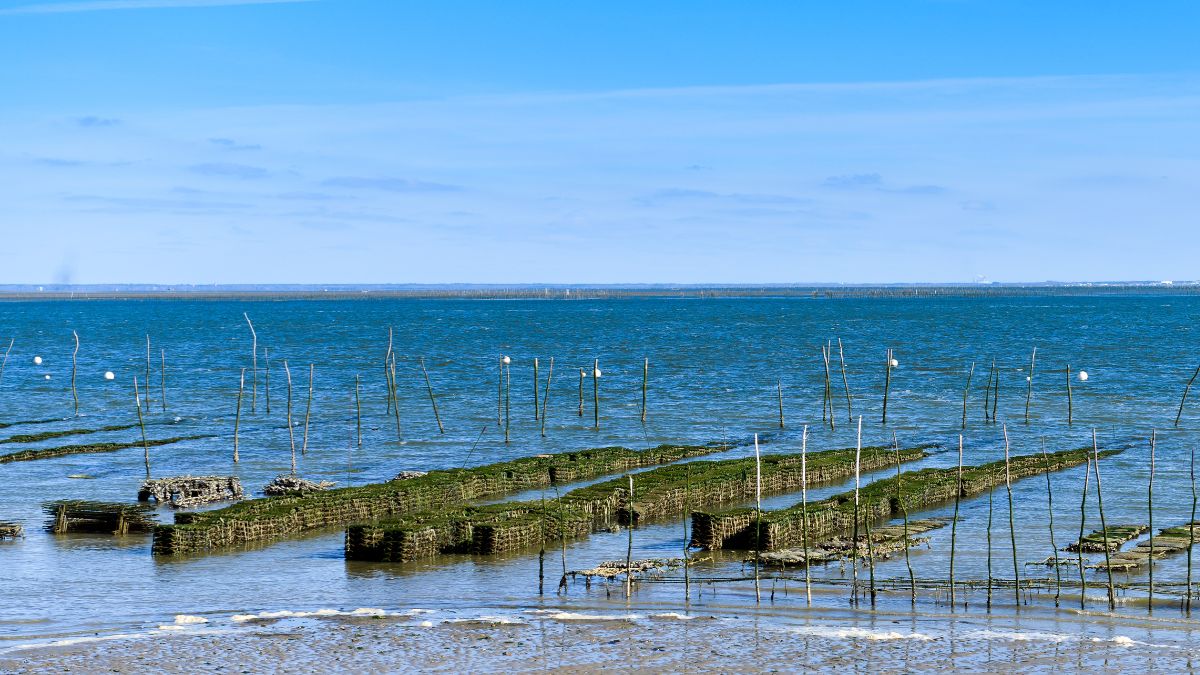 Arcachon