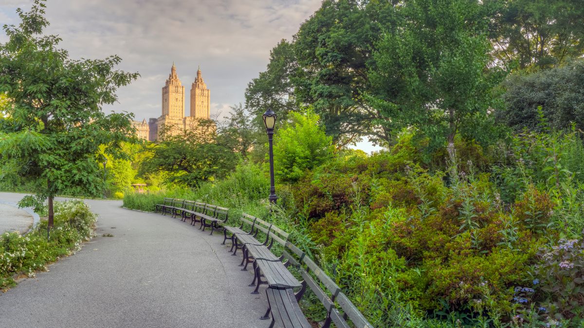 New York - Central Park