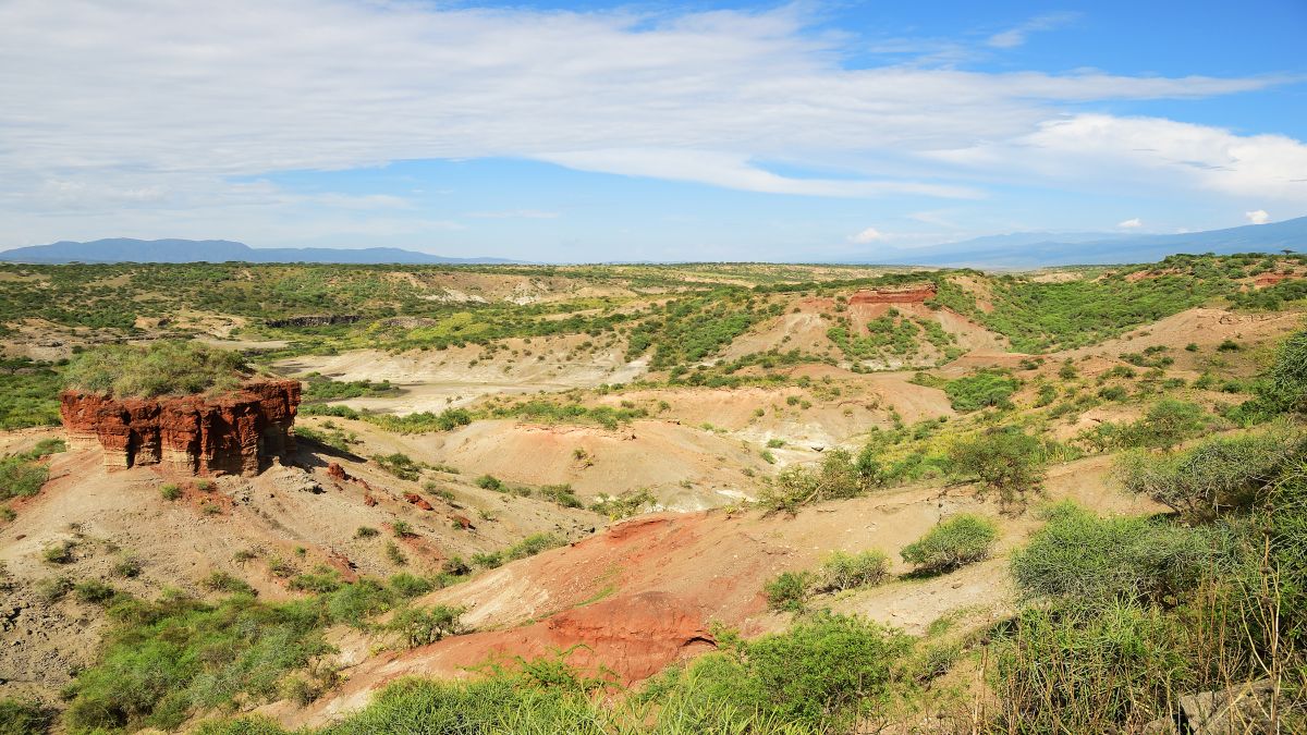 Olduvai-szurdok  