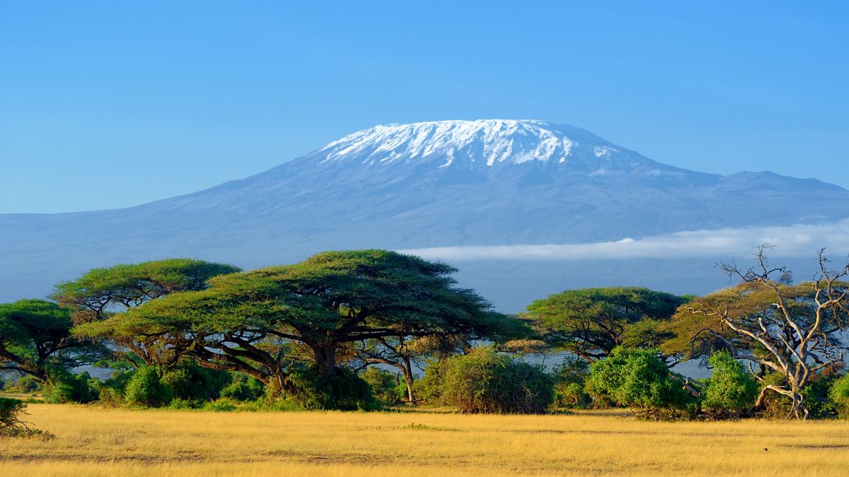 Kilimanjaro 