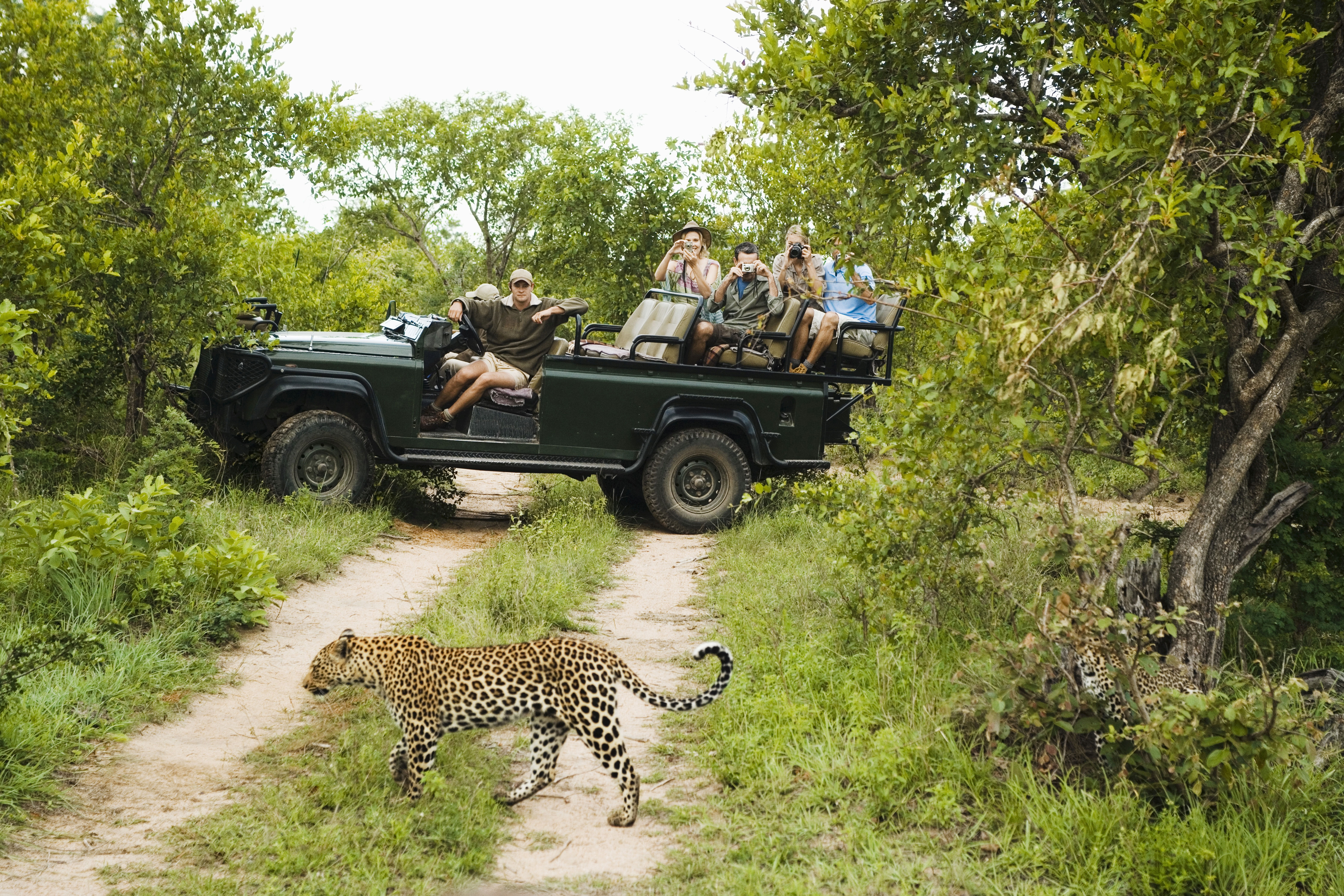 Kruger Nemzeti Park