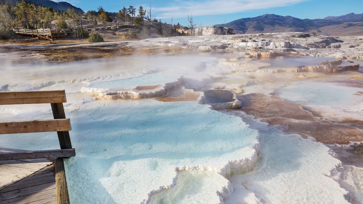 Mammoth Hot Springs