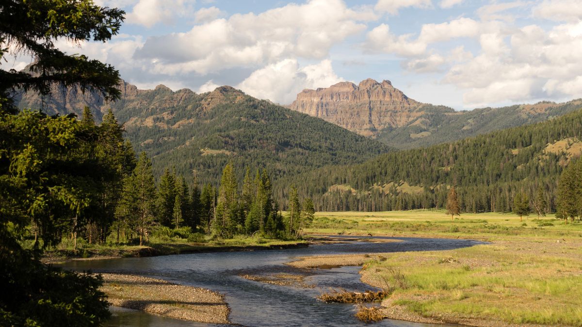 Yellowstone Nemzeti Park