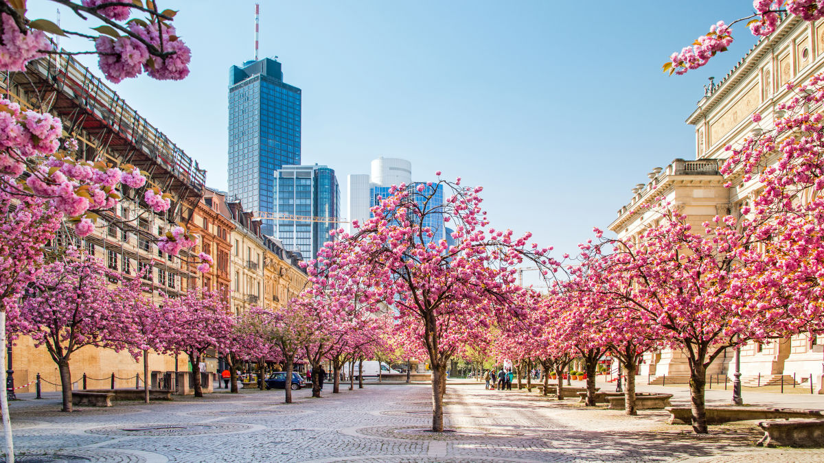 Frankfurt