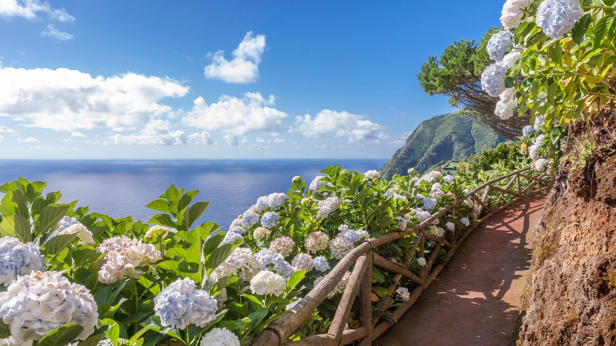 Sao Miguel sziget