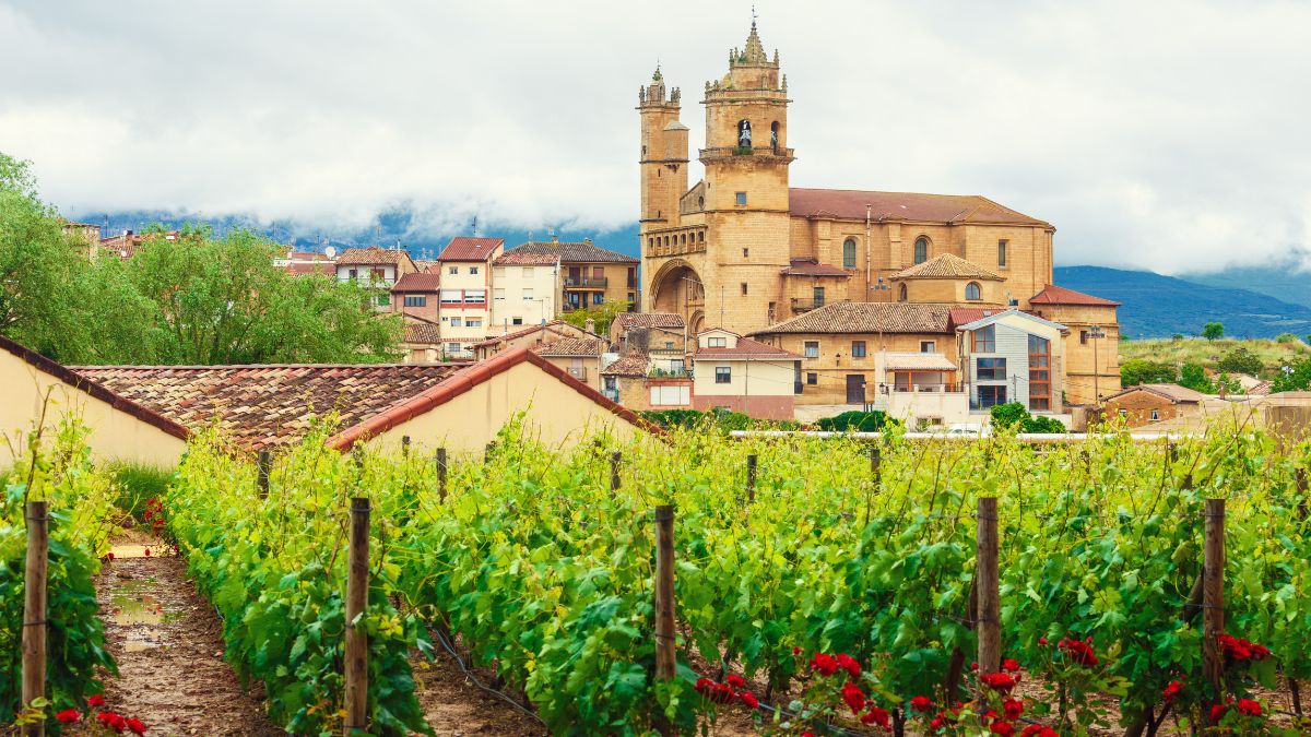 La Rioja borvidék