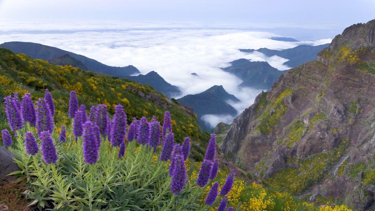 Pico Arieiro