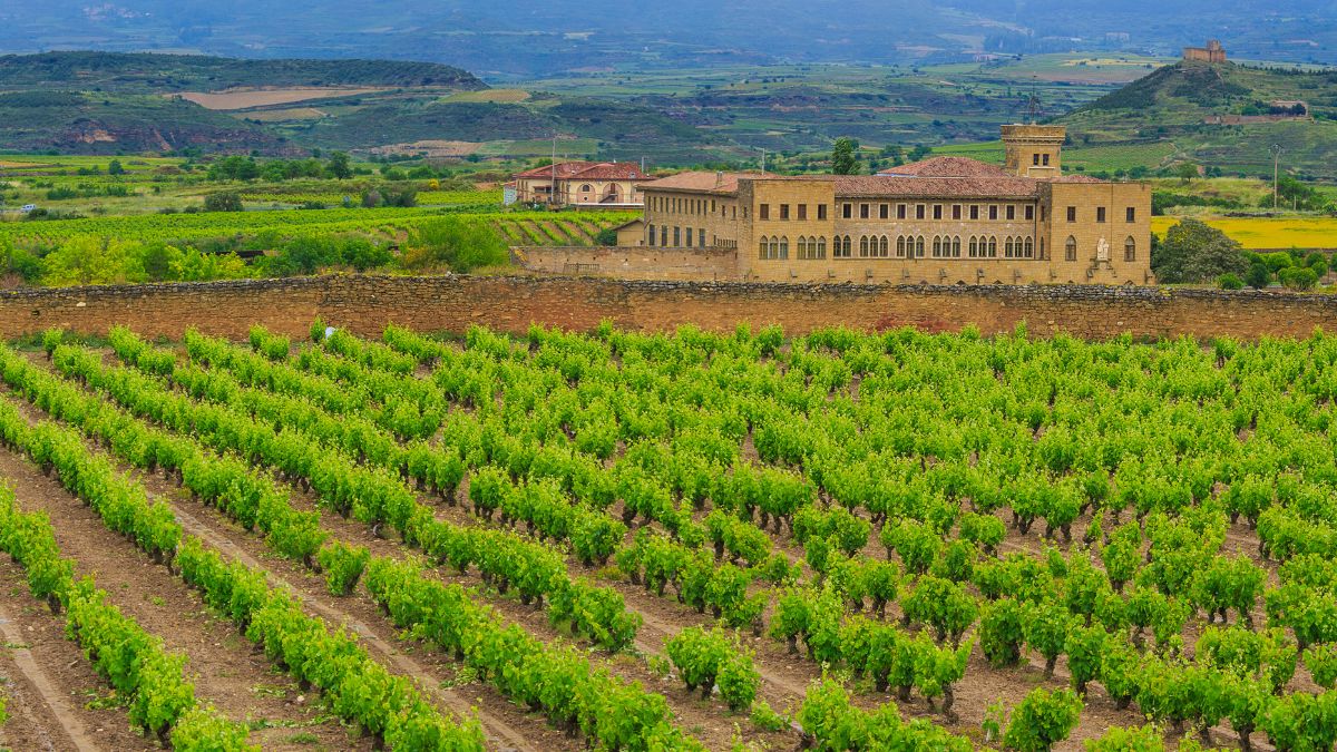 La Rioja borvidék