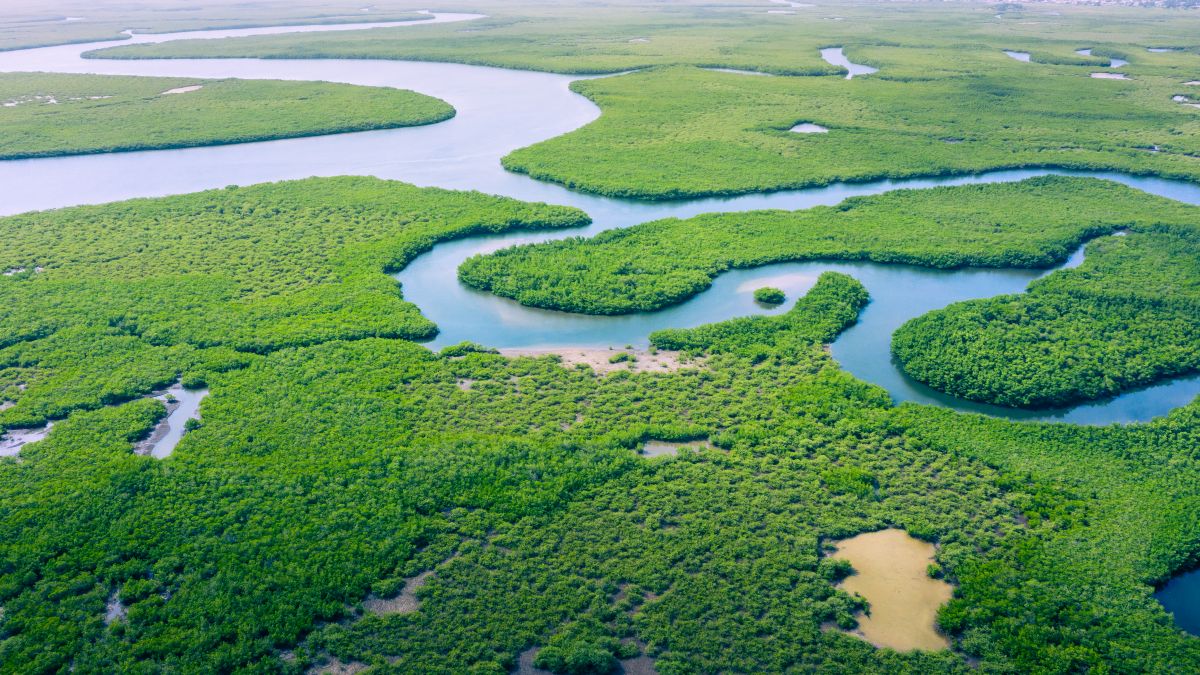 Amazonas