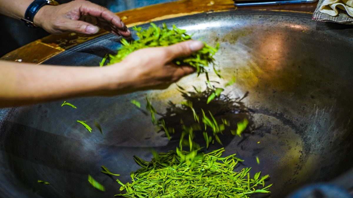 Longjing - zoldtea