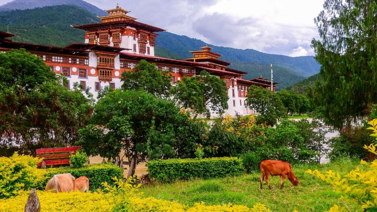 Punakha dzong erőd