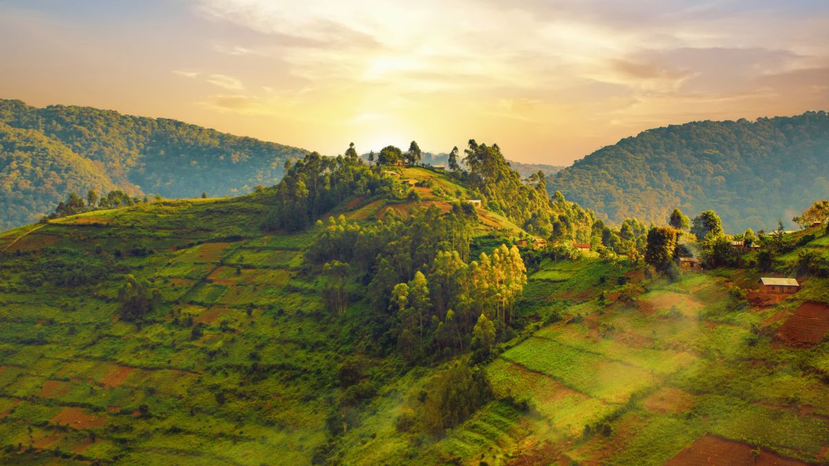 Bwindi Nemzeti Park