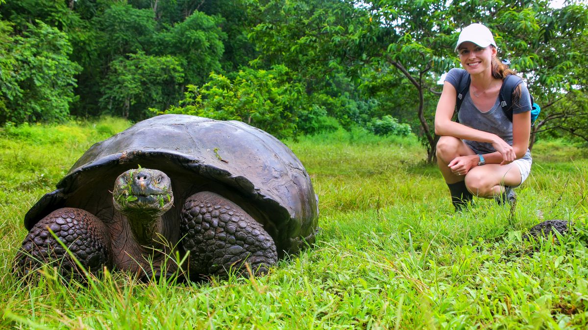 Galápagos: Santa Cruz-sziget