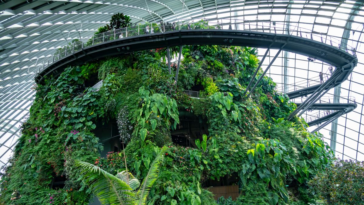 Szingapúr - Gardens by the Bay